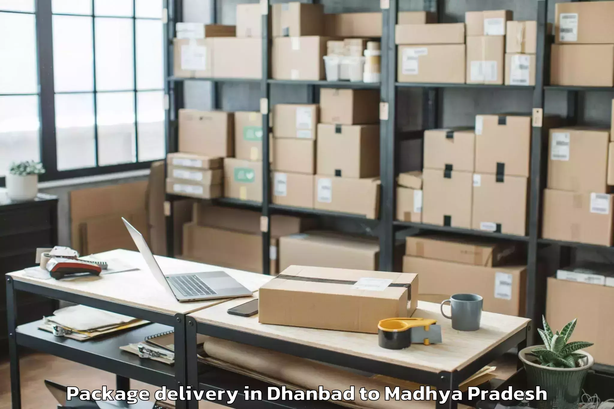 Professional Dhanbad to Iit Indore Package Delivery